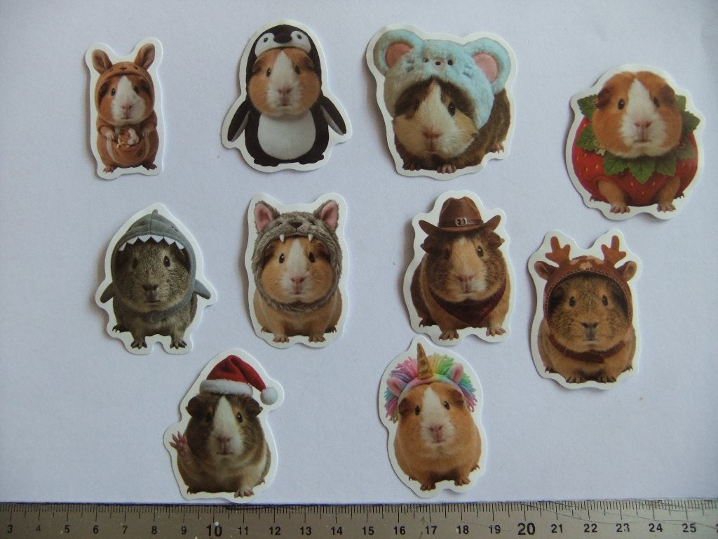 10  CAVIA  Polypropyleen stickers set 6, Verzenden