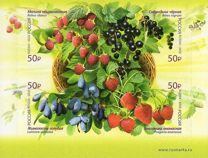 Rusland 2020. Michel 2807-2810 CW € 19,-, Ophalen of Verzenden