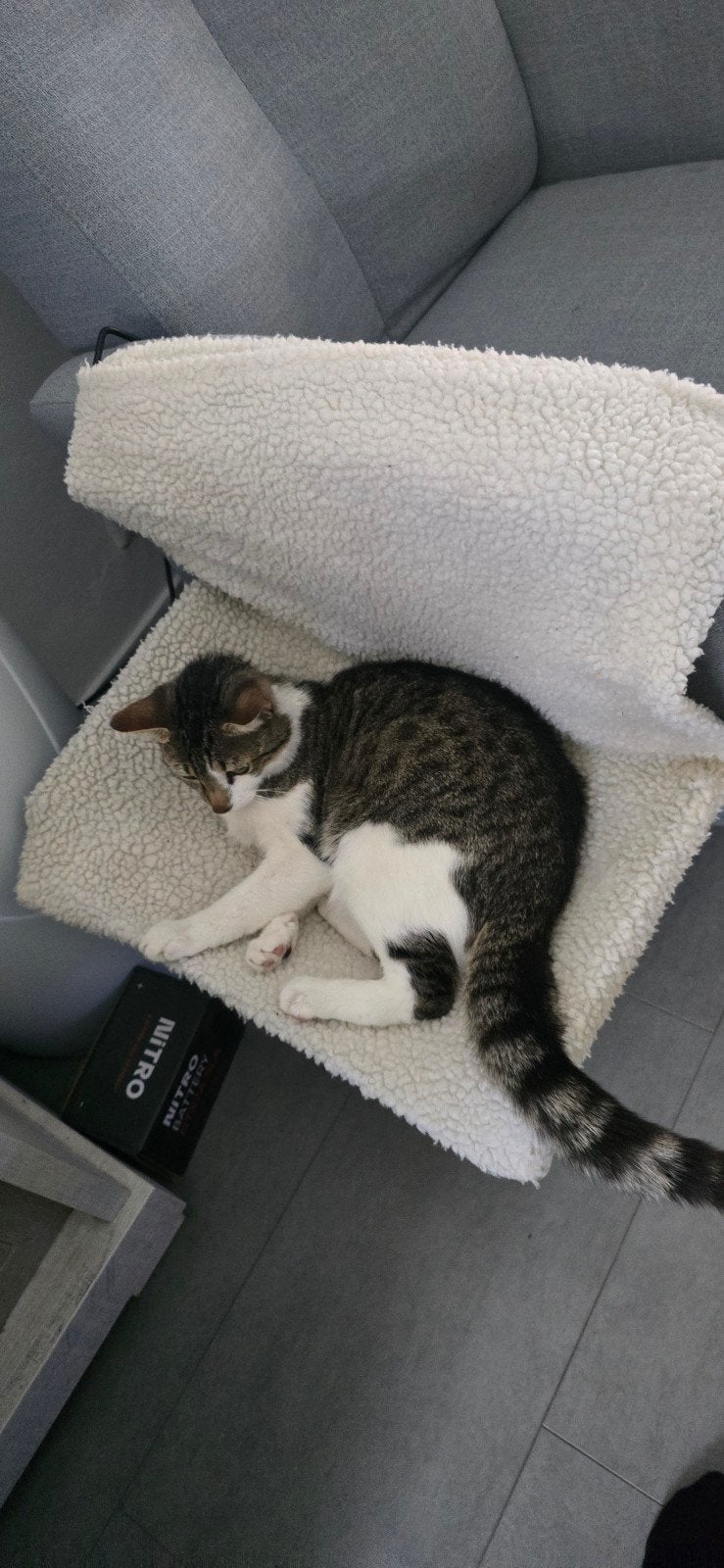katten bank hangen bed, Ophalen of Verzenden