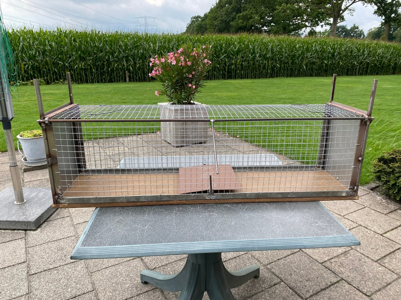Vangkooi te koop, Nieuw, 75 tot 110 cm, Ophalen, Minder dan 60 cm