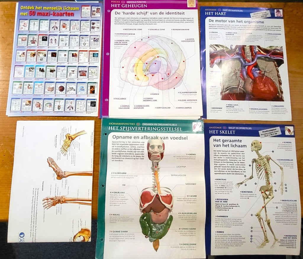 Verzameling Uitgeverij Atlas ontdek het menselijk lichaam, Ophalen of Verzenden, Nieuw