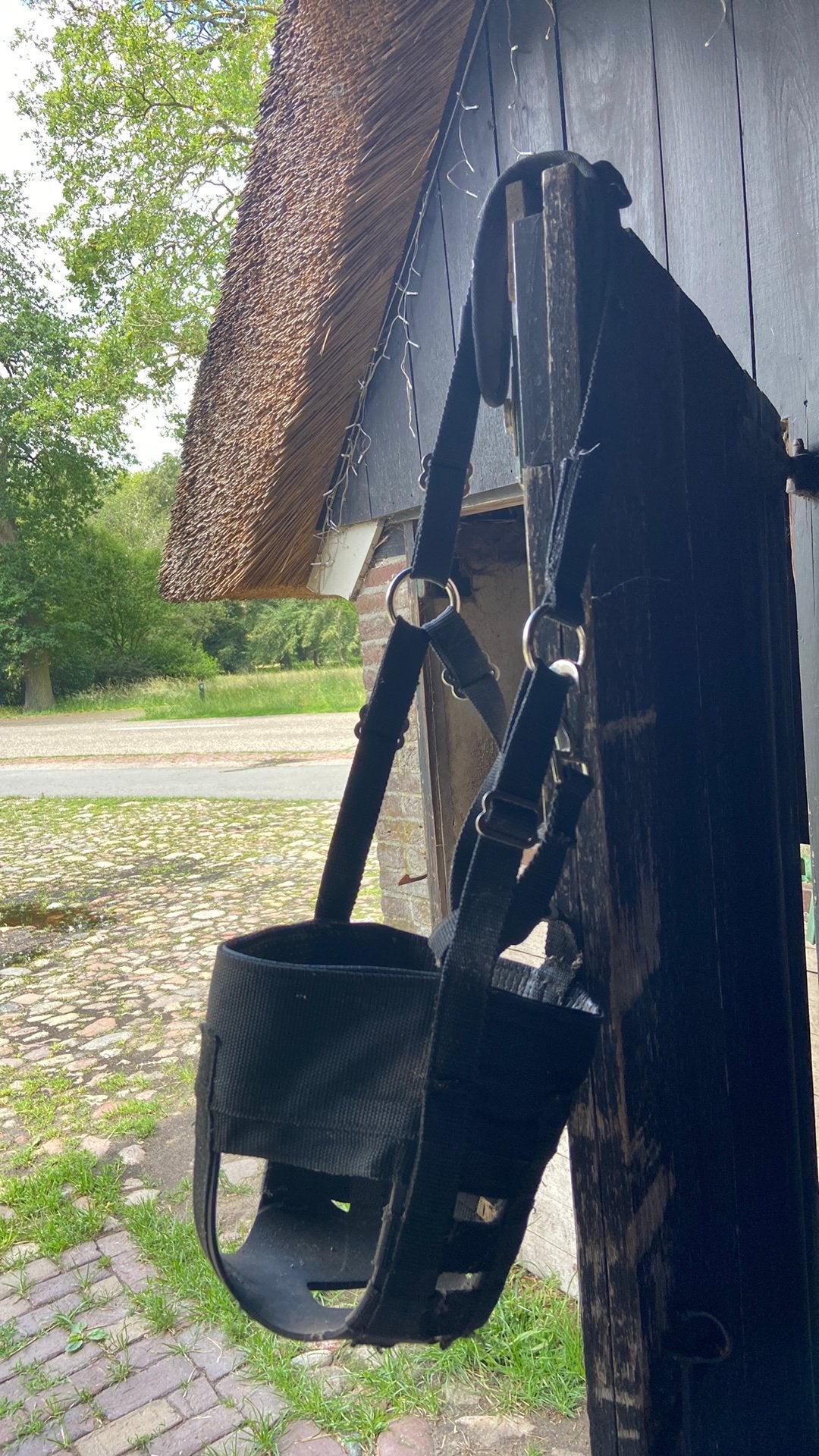 Graasmasker, Dieren en Toebehoren, Verzenden, Gebruikt, Overige soorten