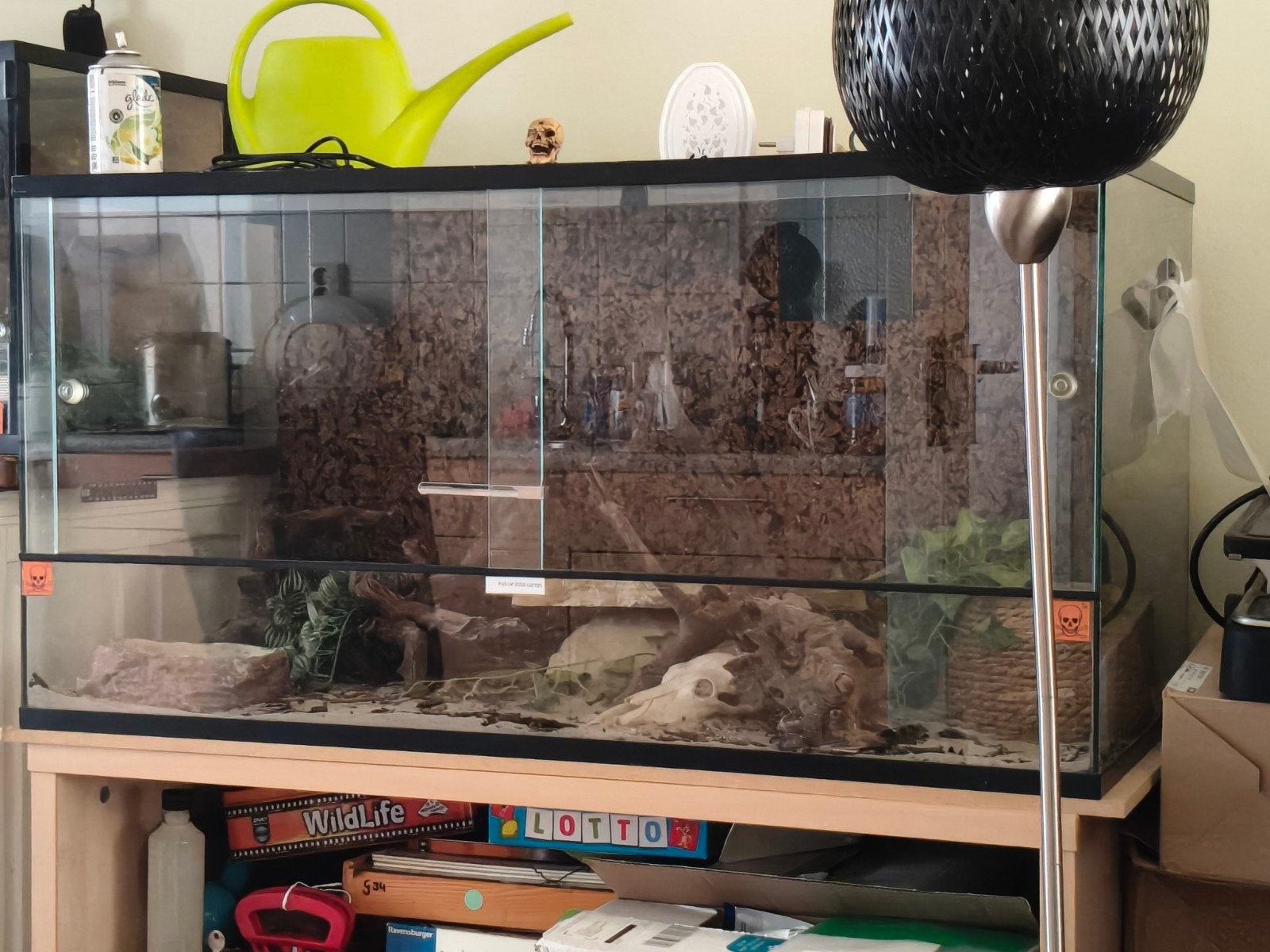 terrarium 100x40x40, Ophalen