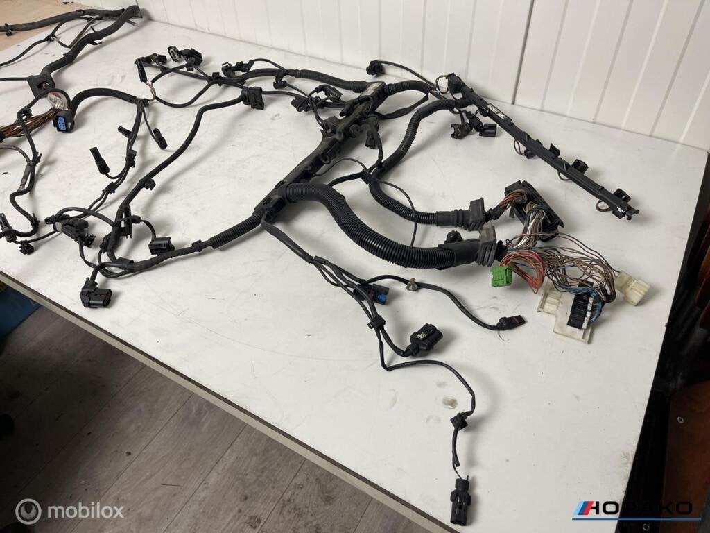 Kabelboom motor BMW F3x N57 | 8518802, Gebruikt, Einsteinlaan 5 rijswijk, Bmw, Ophalen of Verzenden