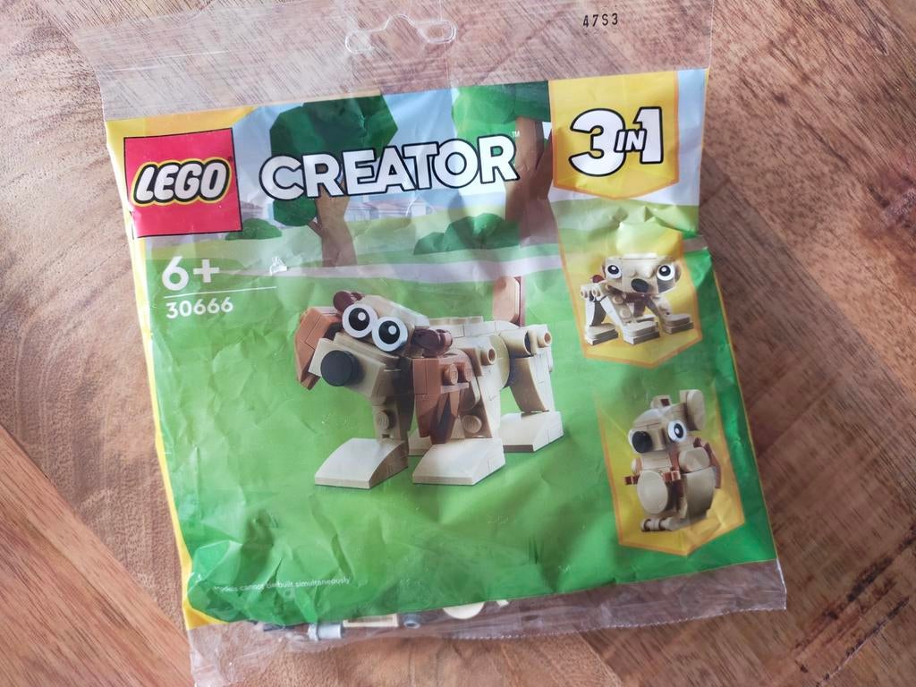 Nieuw! Lego Creator 3 in 1. 30666, Lego, Nieuw, Ophalen of Verzenden, Ongeopend/sealed