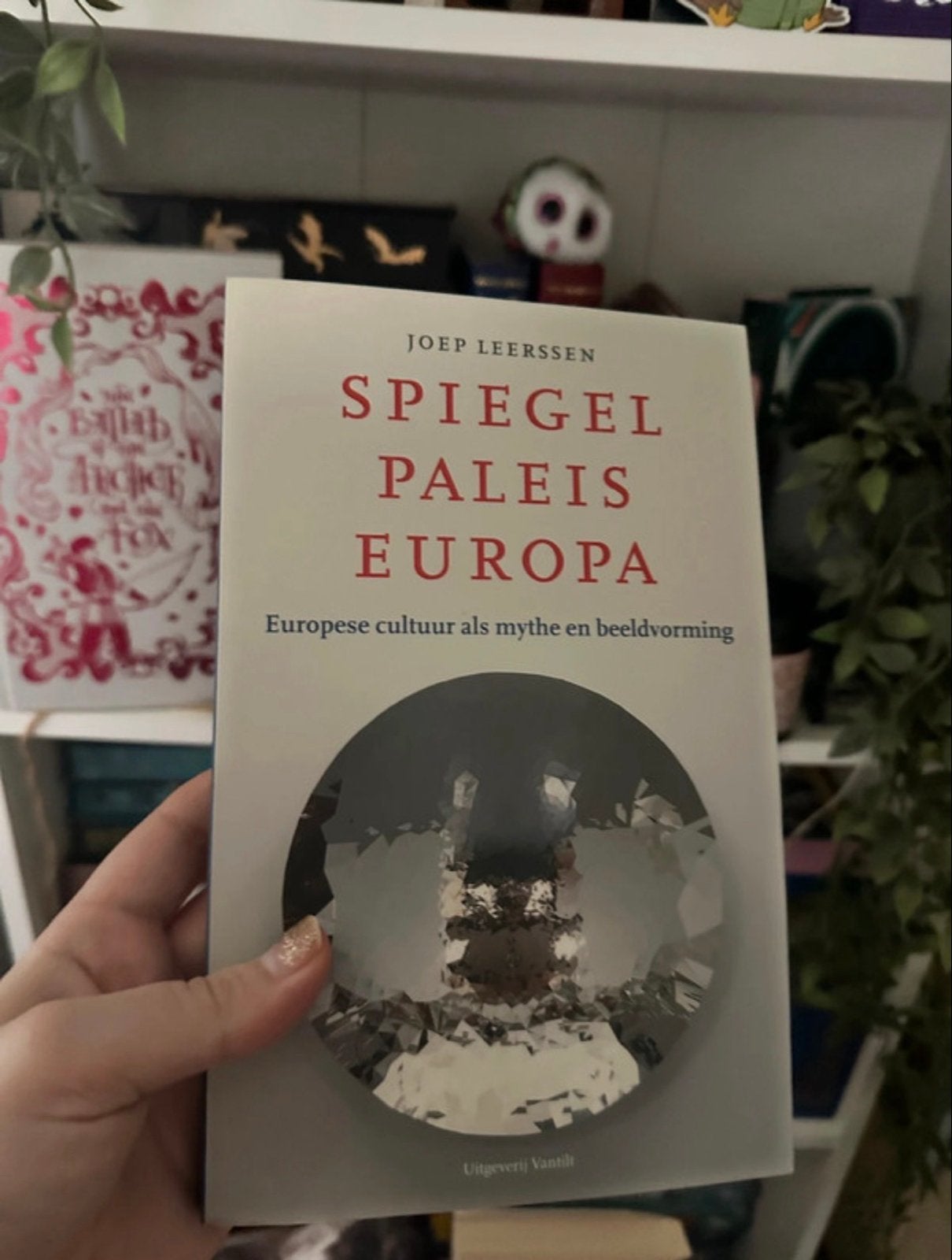 Spiegelpaleis Europa - Joep Leerssen, Boeken, Literatuur, Ophalen of Verzenden, Zo goed als nieuw, Nederland