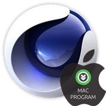 Maxon Cinema 4D Studio (MAC), Verzenden, Nieuw, MacOS