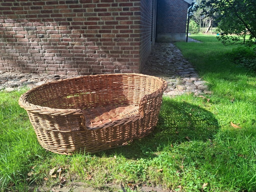 Rieten honden mand - Voor grote hond, Dieren en Toebehoren, Ophalen, Gebruikt, Riet