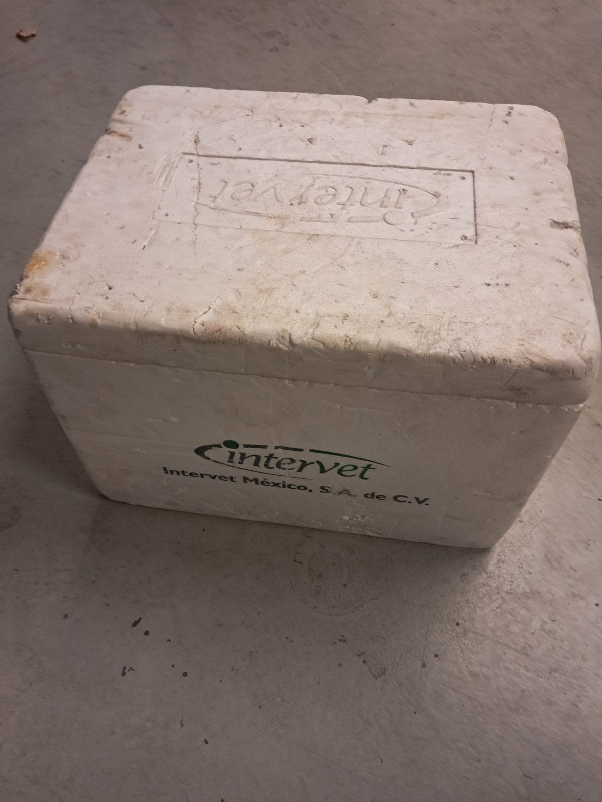 Piepschuim Koelbox ca 25 stuks, Ophalen, Gebruikt, Koelbox, Koelelement