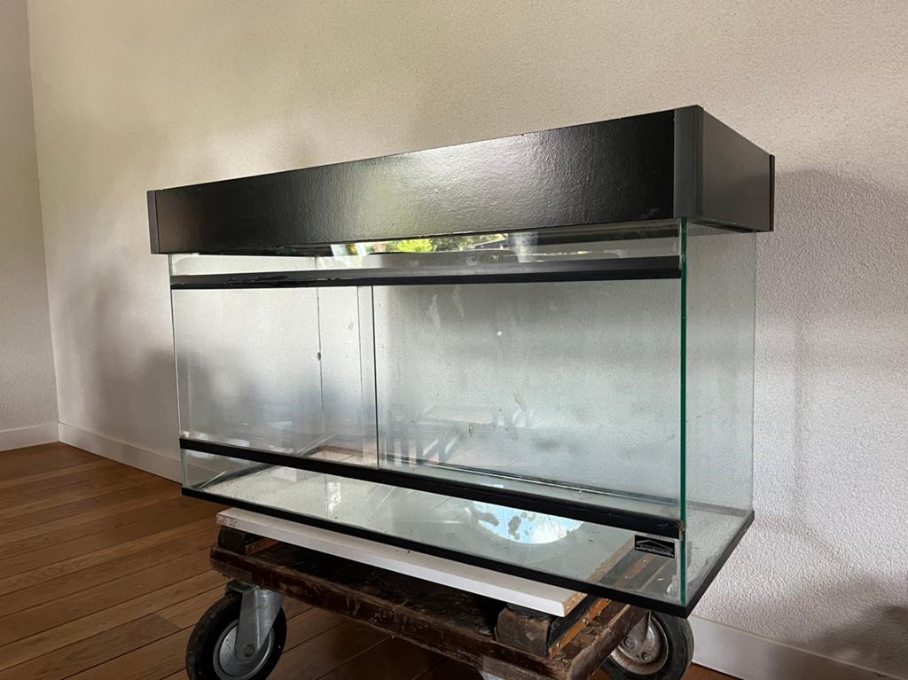 Paludarium met afneembare kap 100x40x60, Dieren en Toebehoren, Reptielen en Amfibieën | Toebehoren, Ophalen, Gebruikt, Terrarium of Paludarium