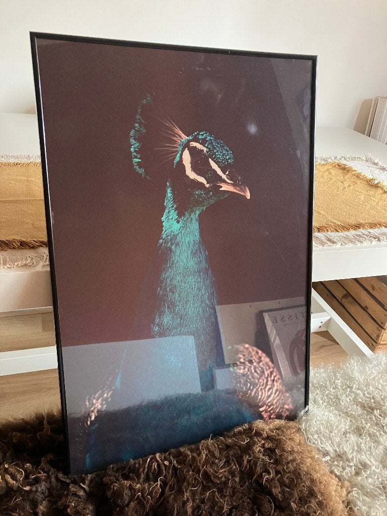 Diverse lijsten, Huis en Inrichting, Woonaccessoires | Lijsten, Ophalen, Zo goed als nieuw, Hout