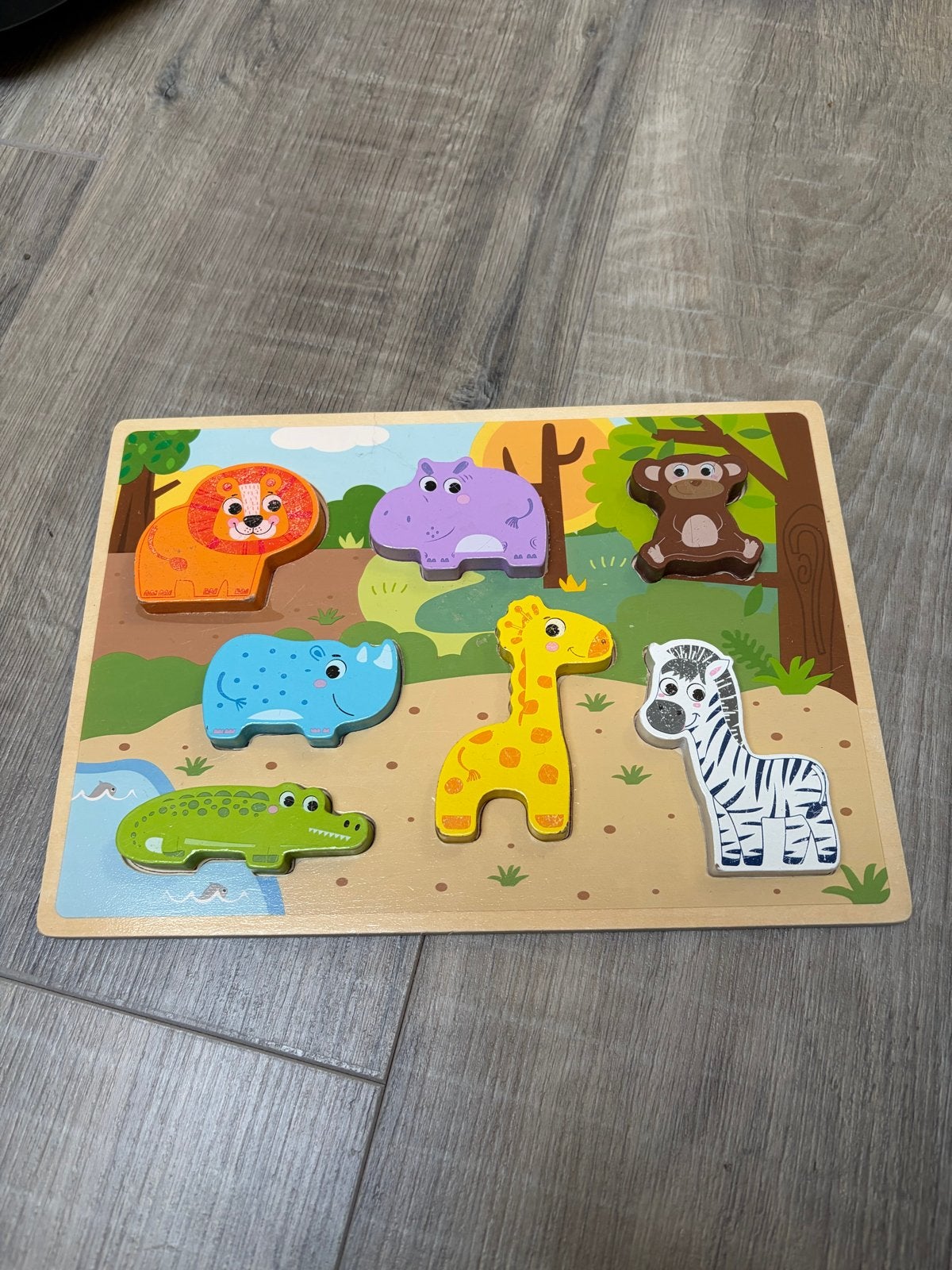 Houten puzzel voor kinderen, Ophalen of Verzenden, Minder dan 10 stukjes, 6 maanden tot 2 jaar