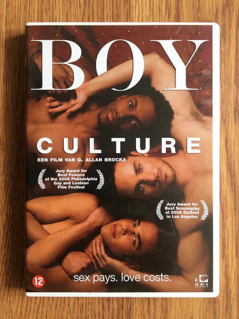 Boy Culture DVD 2006 DRAMA GAY ROMANCE Pride Month Classic!, Gebruikt, Drama, Overige gebieden, Verzenden