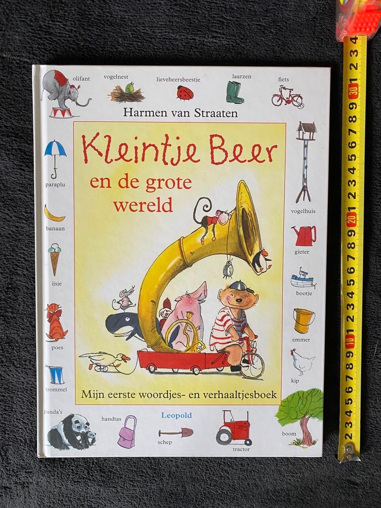 Kleintje Beer - prentenboek  2 - 6 jaar, Boeken, Ophalen of Verzenden, Nieuw, Fictie algemeen, Voorleesboek