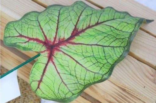 CALADIUM - KUNST BLAD, Ophalen of Verzenden, Nieuw