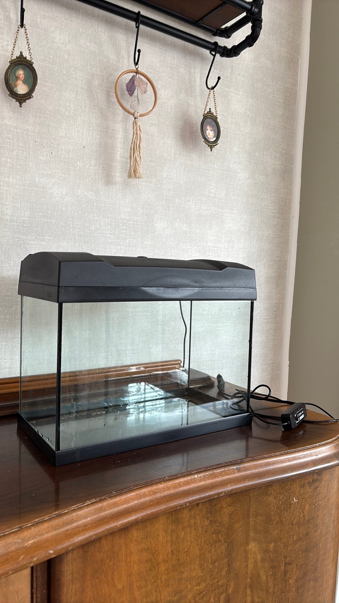 Aquarium incl verlichting, Ophalen, Gebruikt