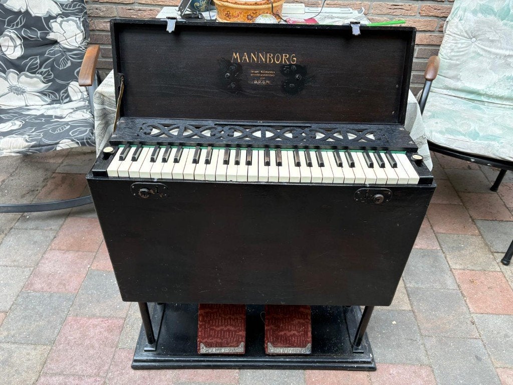 Reisorgel, Muziek en Instrumenten, Ophalen, Gebruikt, 1 klavier, Orgel