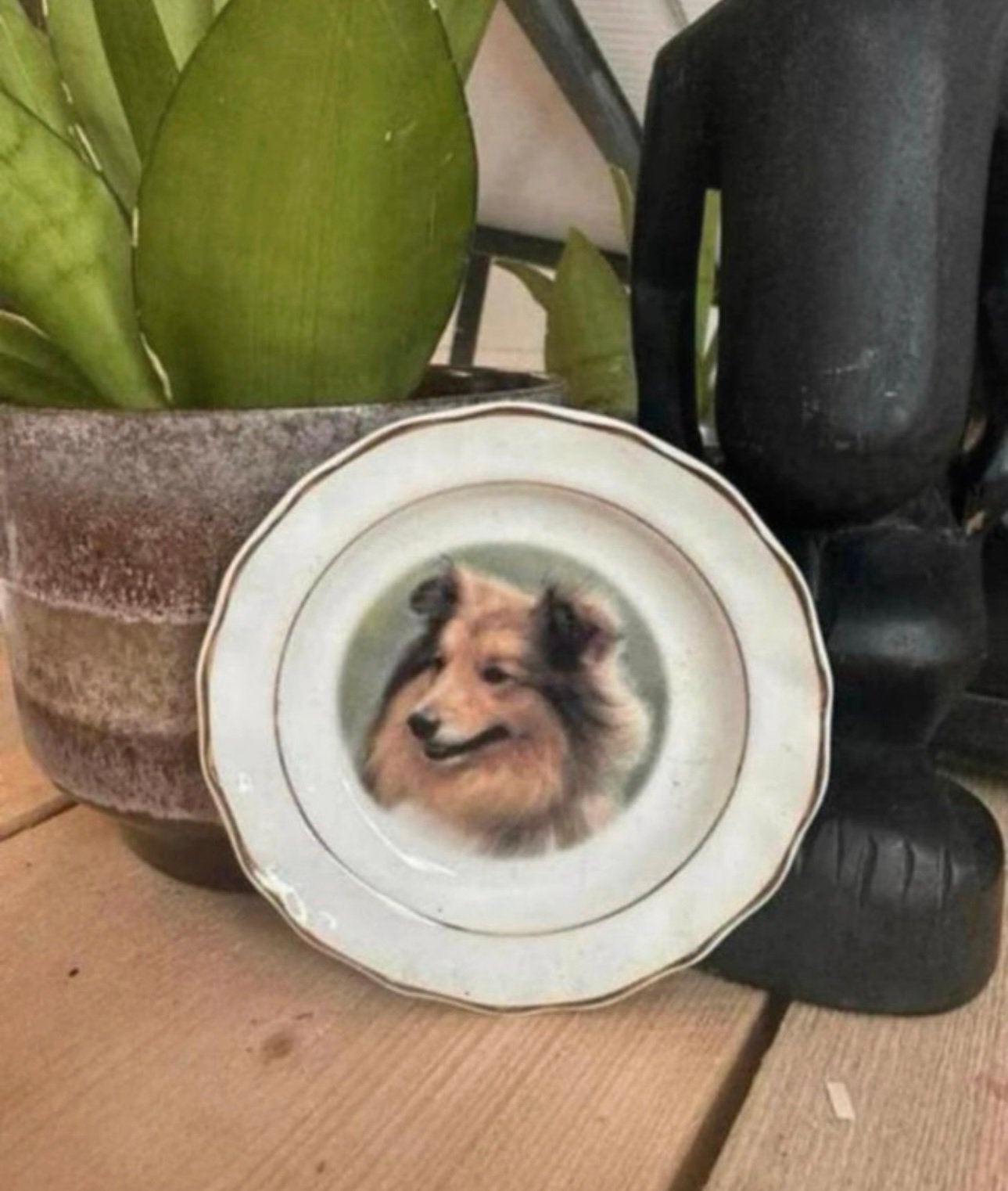 Schoteltje van het merk faithful friends met een sheltie, Ophalen of Verzenden