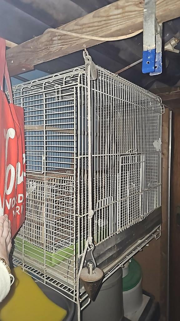 Vogel volière, Dieren en Toebehoren, Vogels | Hokken en Kooien, Ophalen, Gebruikt, Overige materialen, Volière