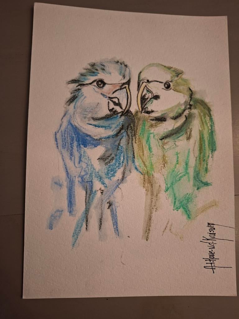 Originele aquarel tekening van twee parkieten - A4 formaat, Ophalen of Verzenden