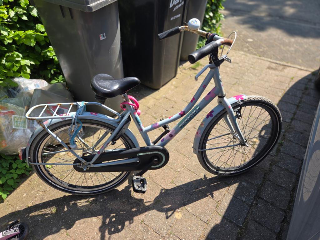 Alpina meisjesfiets 22 inch - Gebruikt, Fietsen en Brommers, Fietsen | Kinderfietsjes, Ophalen, Gebruikt, 20 inch of meer