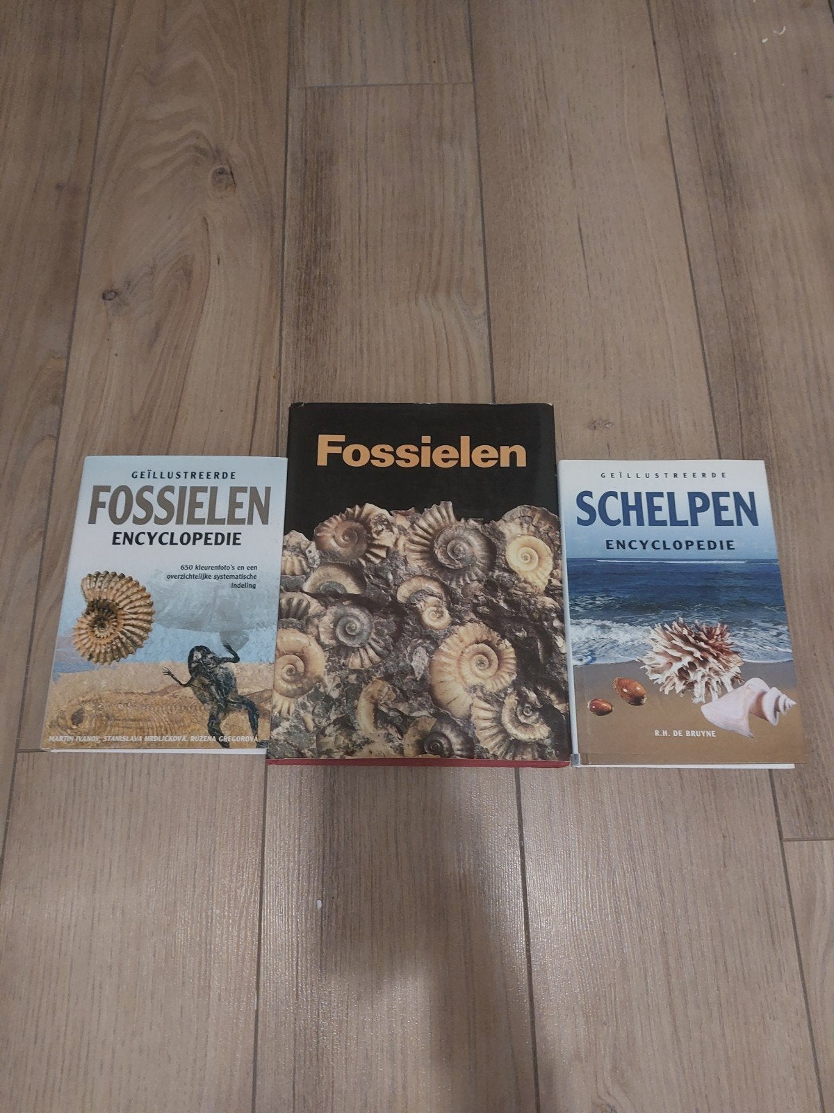 Geïllustreerde Fossielen Encyclopedieen - Zo goed als nieuw, Ophalen of Verzenden, Zo goed als nieuw, Overige onderwerpen, Los deel