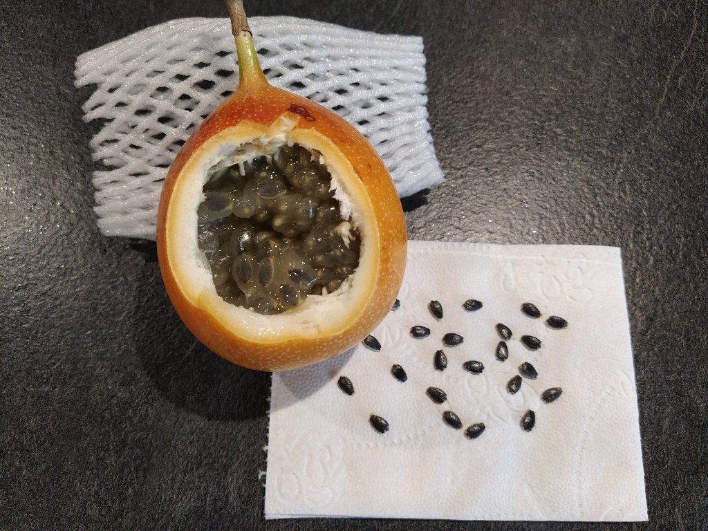 Te koop: granadilla zaden, Ophalen, Volle zon, Zaad