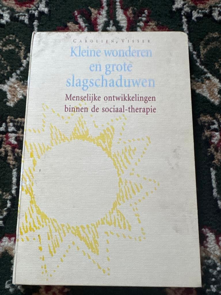Kleine wonderen en grote slagschaduwen - Carolien Visser, Ophalen of Verzenden, Gelezen, Overige