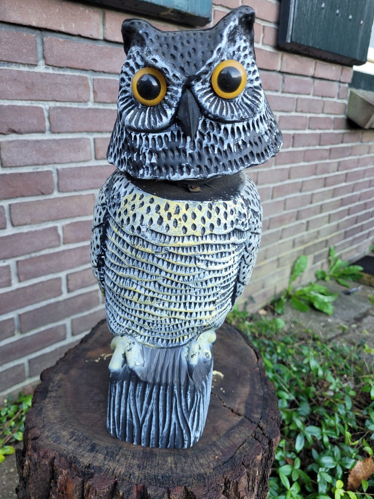 Vogelverschrikker uil, Ophalen of Verzenden