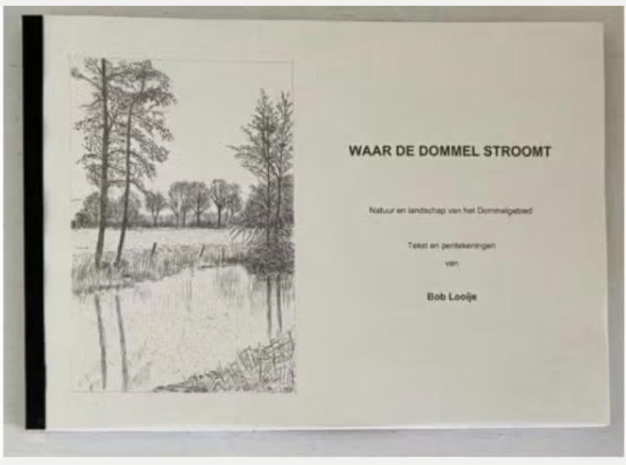 Waar de dommel stroomt - Bob Looije, Boeken, Geschiedenis | Stad en Regio, Ophalen of Verzenden, Zo goed als nieuw