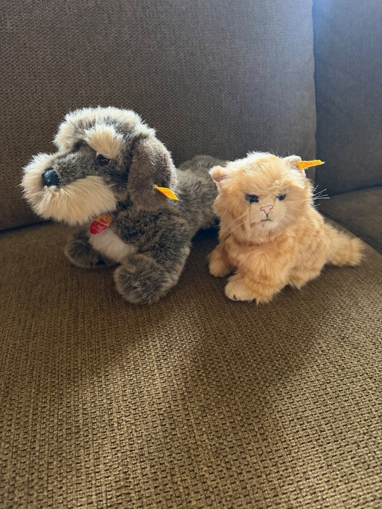 steiff teckel / Steiff tekkel / Steiff kat / steiff poes, Ophalen of Verzenden
