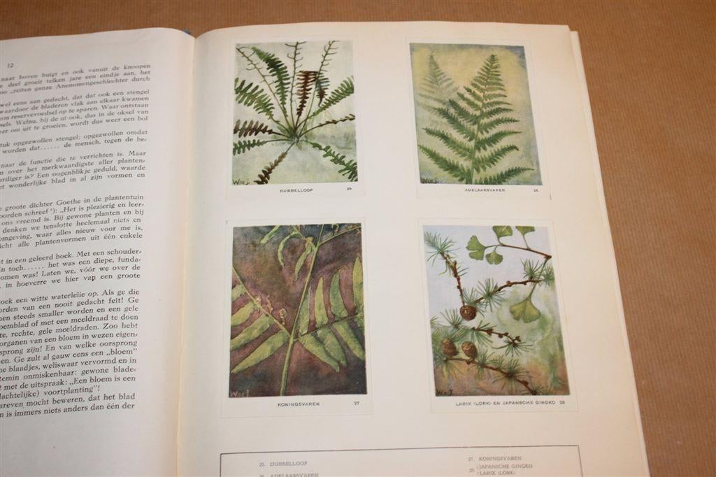 Neerlands Bosschen & Groene Weiden — Tiktak Album [Compleet], Boeken, Verzenden, Gelezen