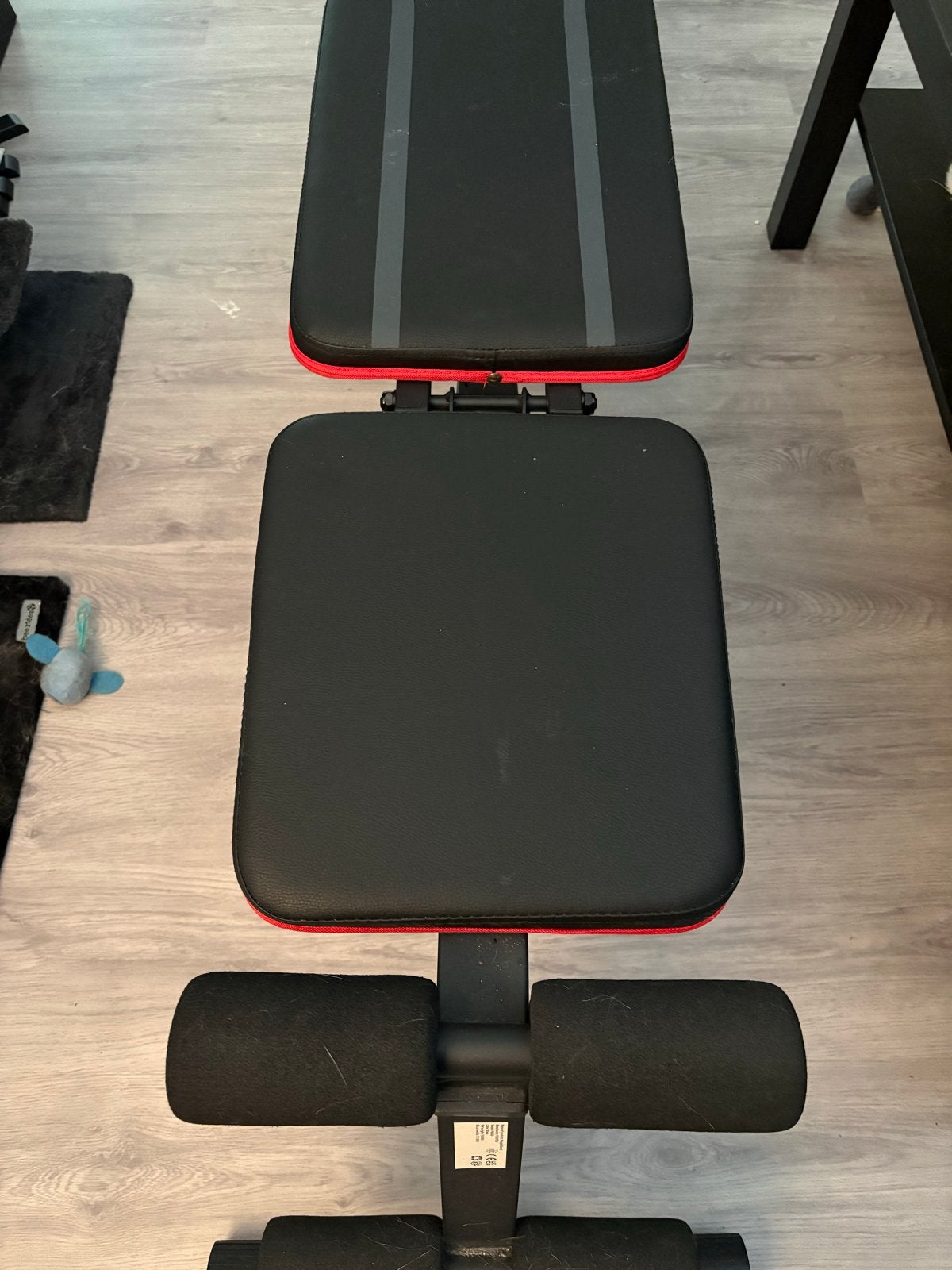 Pasyou Fitnessbank - Verstelbaar en Comfortabel, Sport en Fitness, Fitnessmaterialen, Ophalen, Zo goed als nieuw, Armen, Fitnessbank