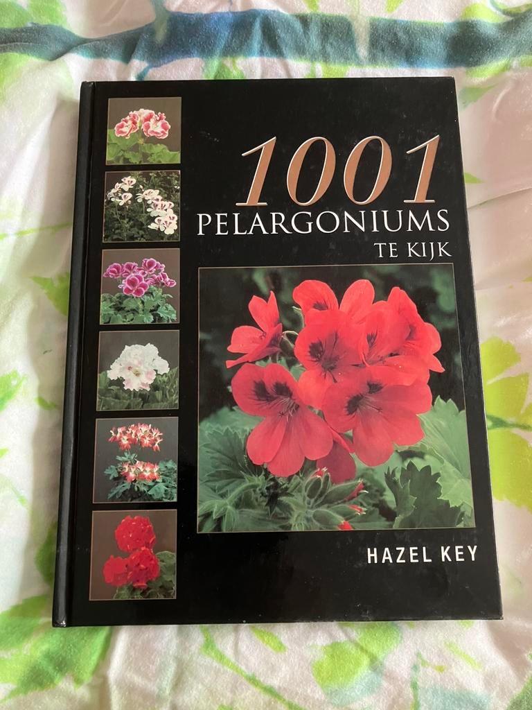1001 Pelargoniums, Ophalen of Verzenden, Zo goed als nieuw, Interieur en Design