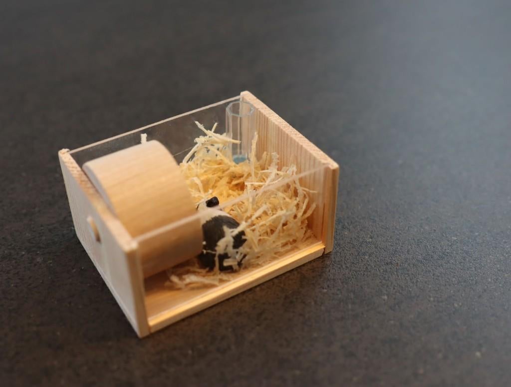 Handgemaakte caviakooi van hout met cavia en waterfles., Ophalen of Verzenden, Nieuw, Gebruiksvoorwerp