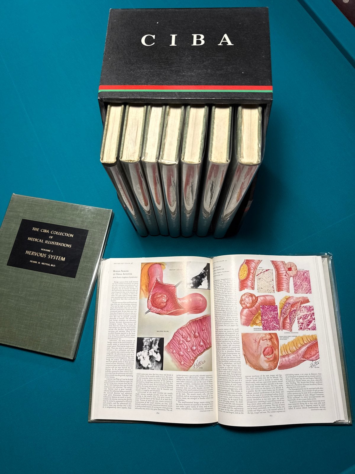 CIBA Collectie Medische Illustraties F. Netter - New York, Ophalen, Zo goed als nieuw, Natuurwetenschap