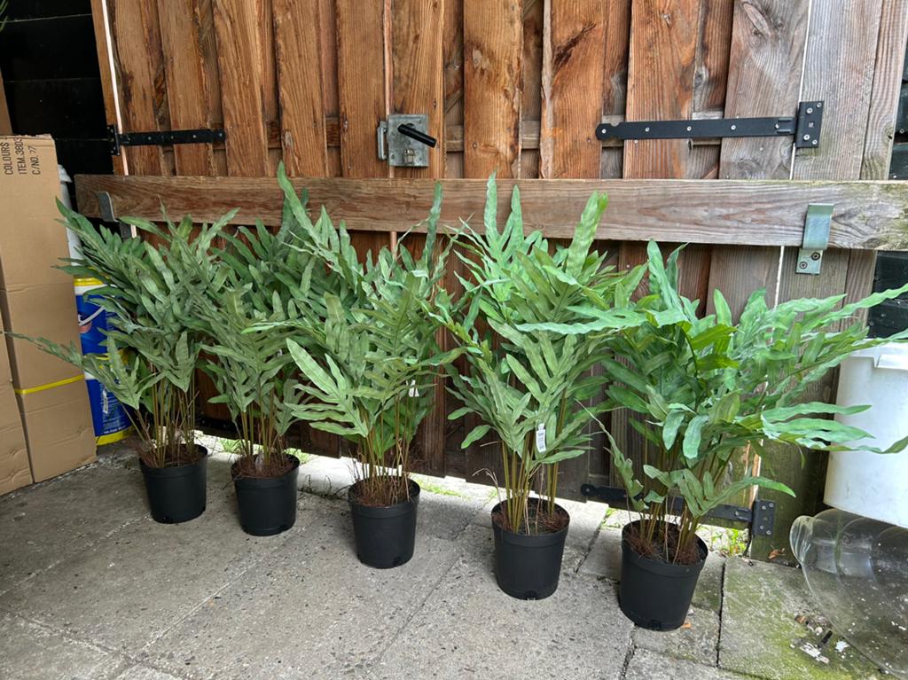 5 x phlebodium kunstplant 80 cm hoog. Nieuw!, Ophalen of Verzenden, Nieuw