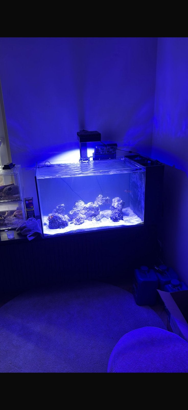 Aquarium 180 liter penisula, Ophalen of Verzenden, Gebruikt, Leeg aquarium