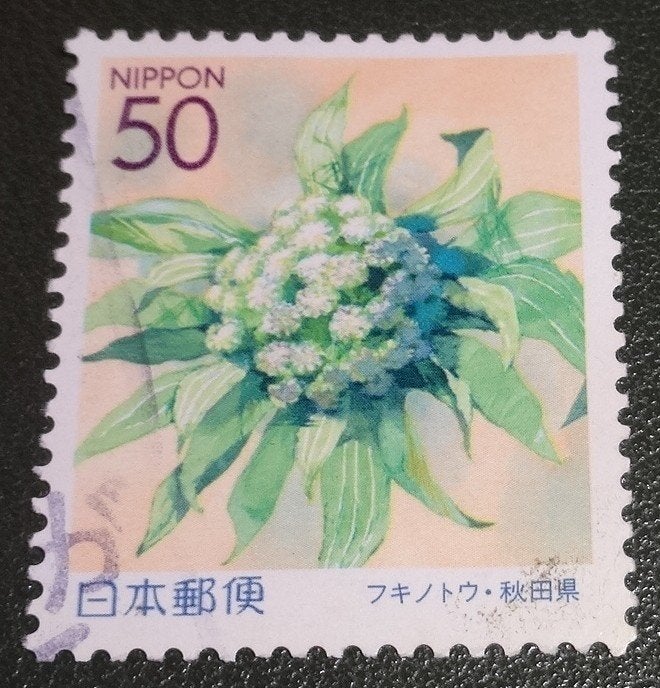 Japan - Nippon - Mi 3644 - Tohuku - Hoefblad - PJa01-01, Verzenden, Gestempeld, Oost-Azië