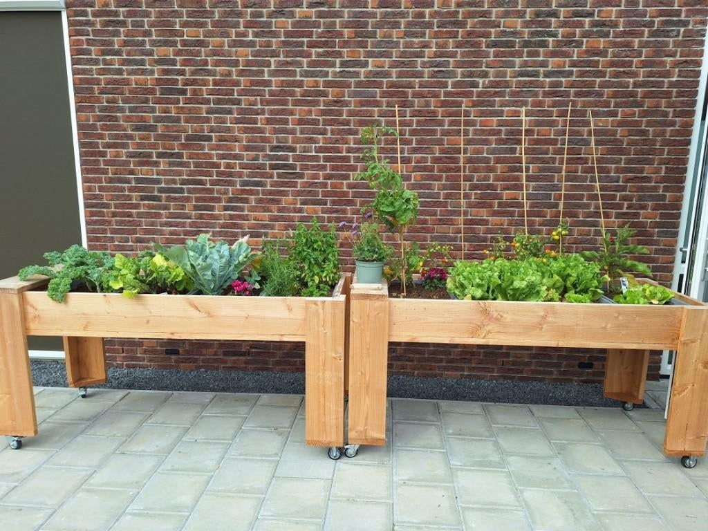 Verrijdbare kweektafel douglas, Ophalen, 100 cm of meer, Nieuw, 60 cm of meer