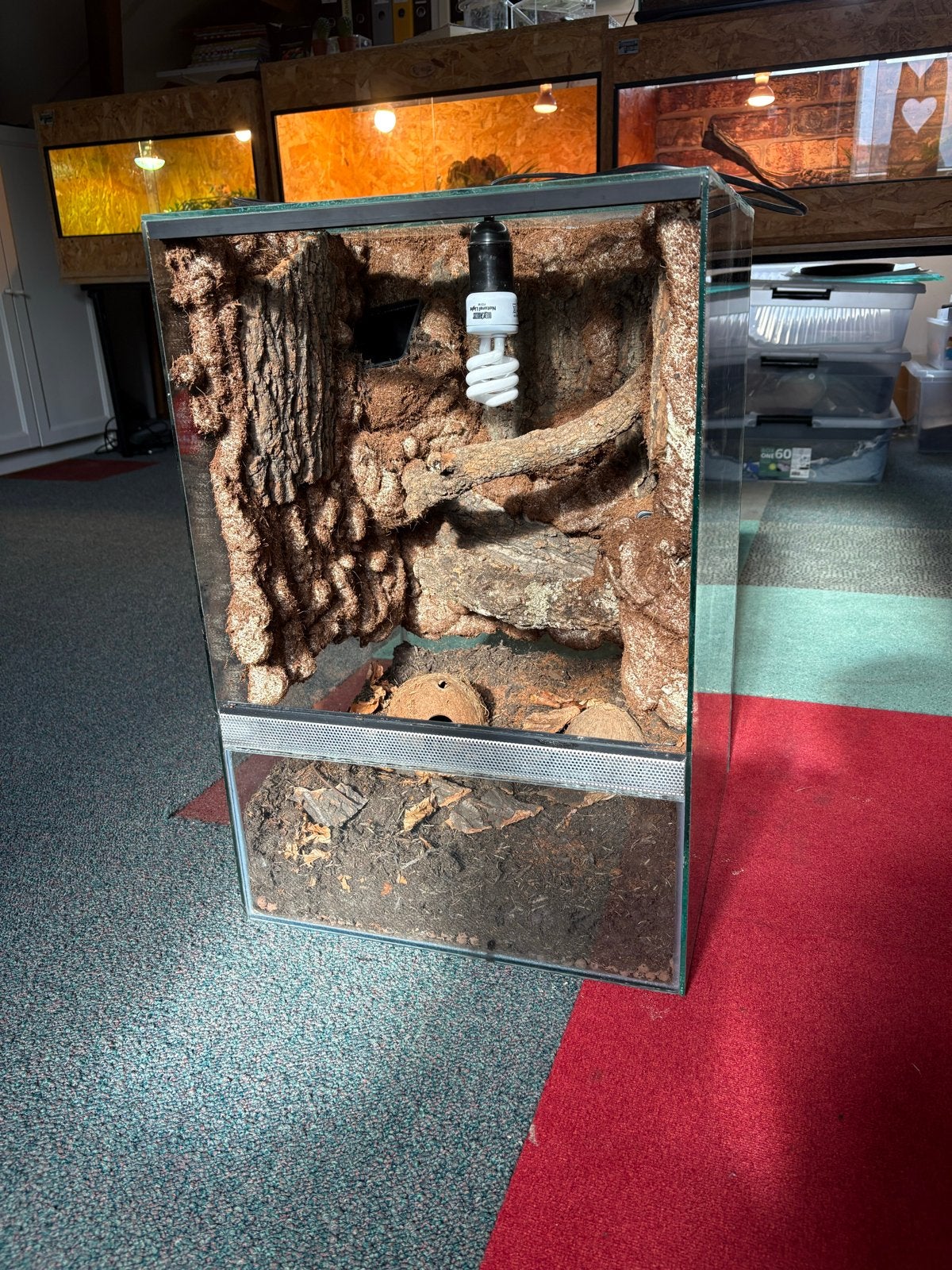 Custom made terrarium, Ophalen