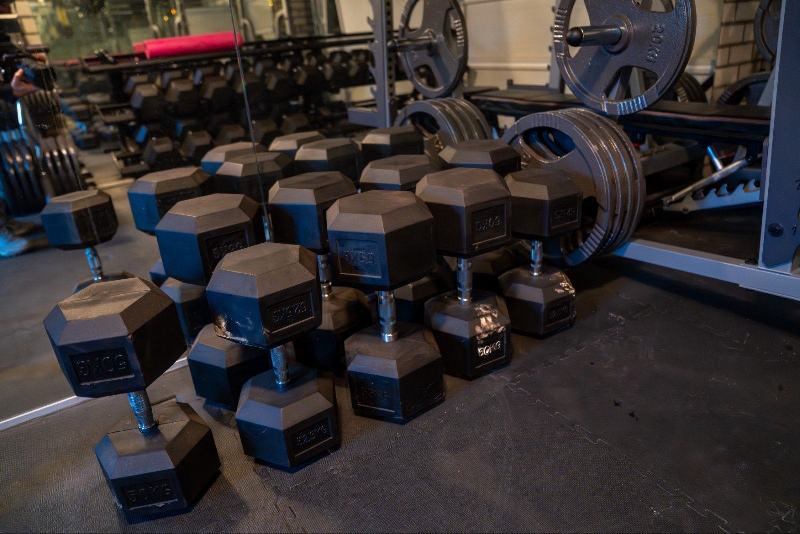 Zware dumbbells 47,5kg t/m 60kg, Ophalen, Dumbbell, Nieuw, Rug
