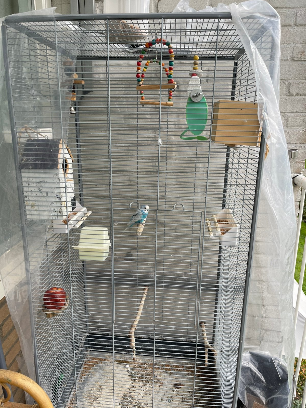 Grasparkieten te koop – broedkoppel met grote kooi, Ophalen, Zo goed als nieuw, Metaal, Vogelkooi