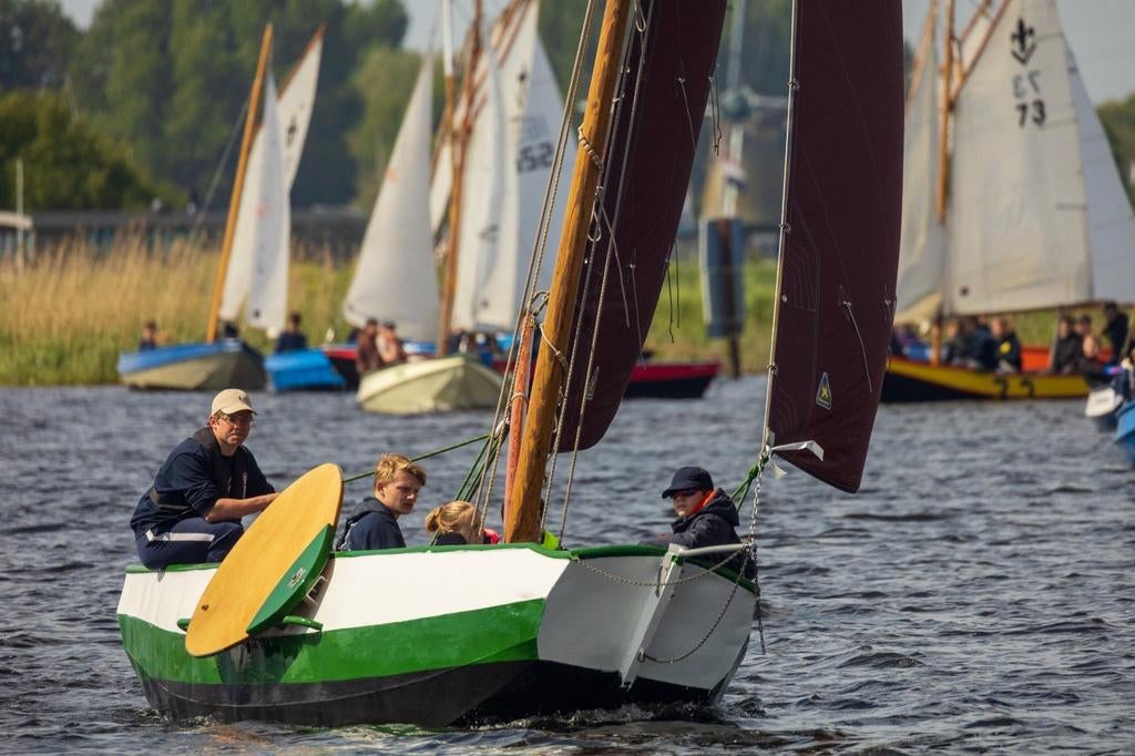 Lelieschouw 50 te koop, Ophalen, Gebruikt, Staal, 6 m