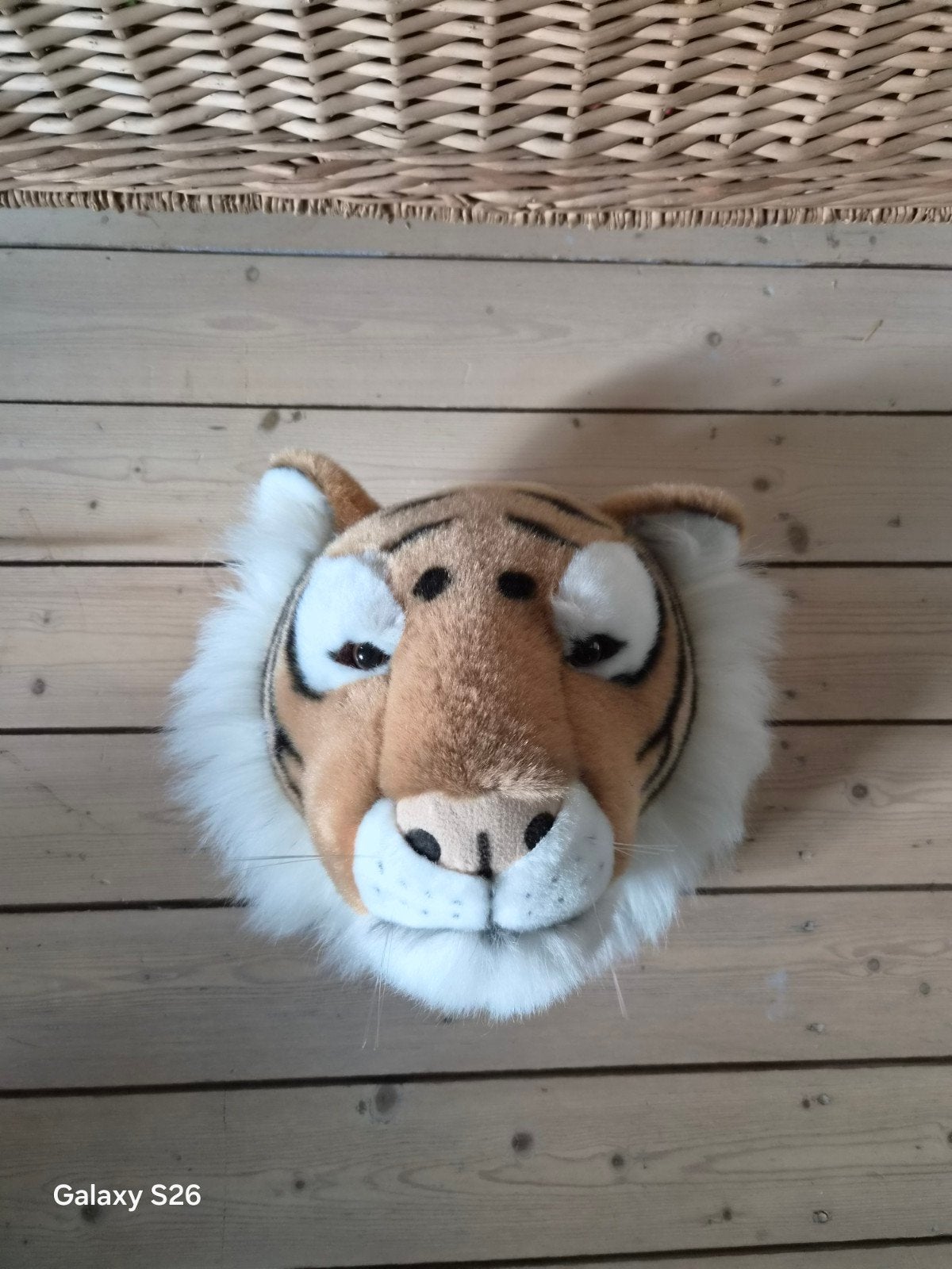 Tijger knuffel wanddecoratie, Ophalen, Oranje, Zo goed als nieuw, Middelgroot (20 tot 80 cm)