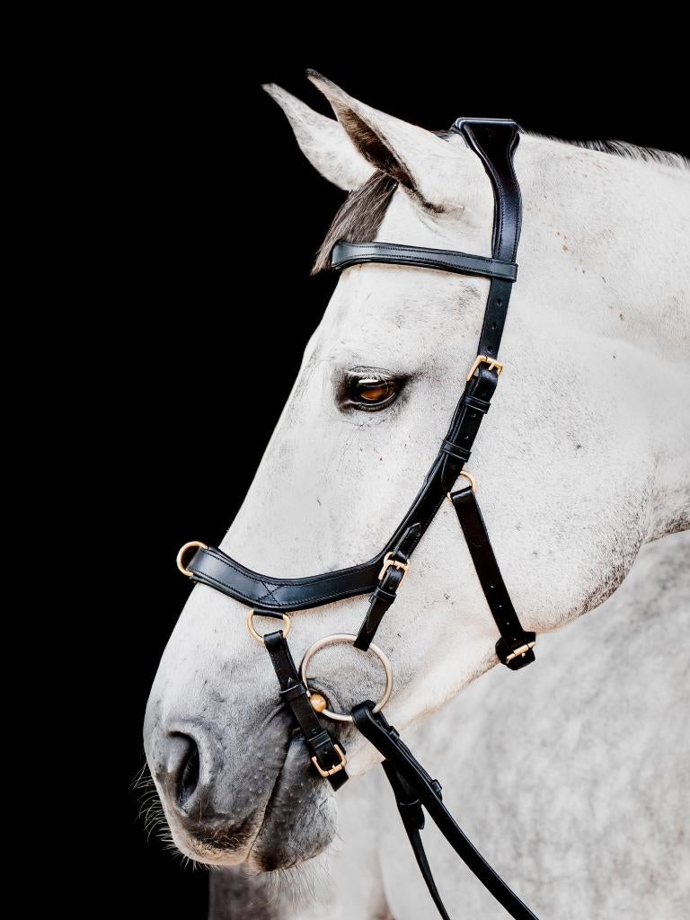 Horseware Micklem Multi Bridle, maat Cob, Full, X-Full, Dieren en Toebehoren, Bruin, Nieuw, Anatomisch gevormd, Bit