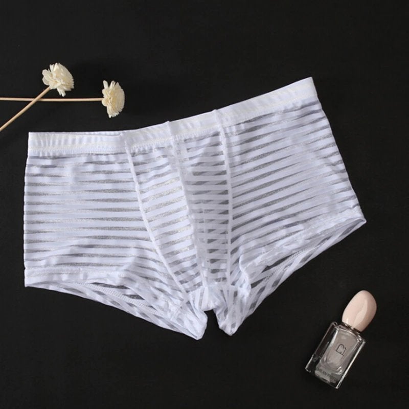 Witte doorzichtige gestreepte heren boxer, Kleding | Heren, Verzenden, Wit, Boxer