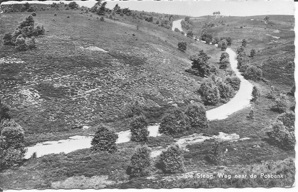 Ansichtkaart De Steeg, Weg naar de Posbank, Verzamelen, Ansichtkaarten | Nederland, Ophalen of Verzenden, 1960 tot 1980, Gelopen