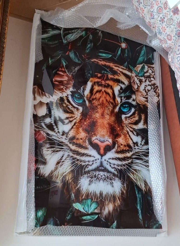 Foto op plexiglas 80 x 120 cm Tijger met met vlinders, Ophalen, Overige typen, Nieuw, 125 cm of meer