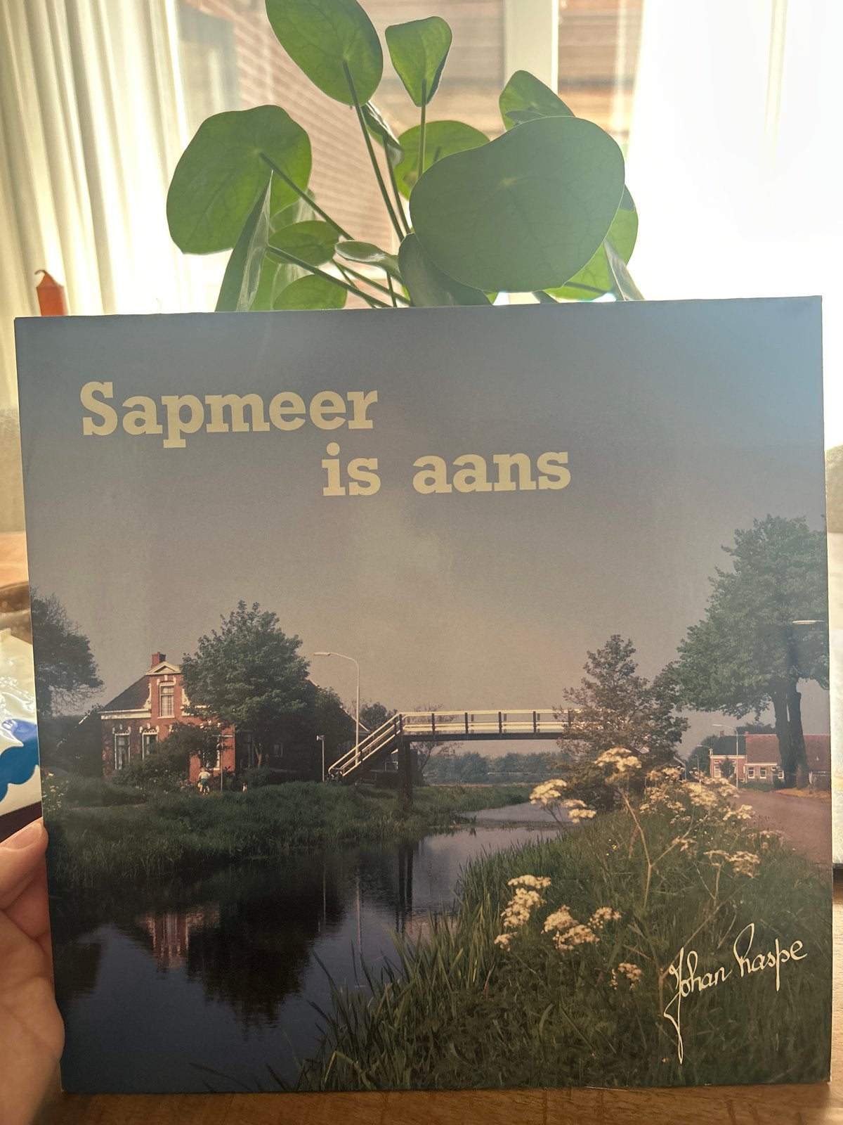 Sapmeer is aans - Johan Haspe LP, Cd's en Dvd's, Vinyl | Pop, Gebruikt, Overige genres, LP, 12 inch, Ophalen of Verzenden